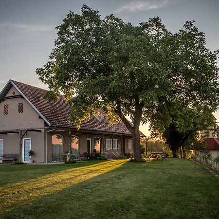 Winzarei, Weingut Tement Villa Berghausen Luaran gambar