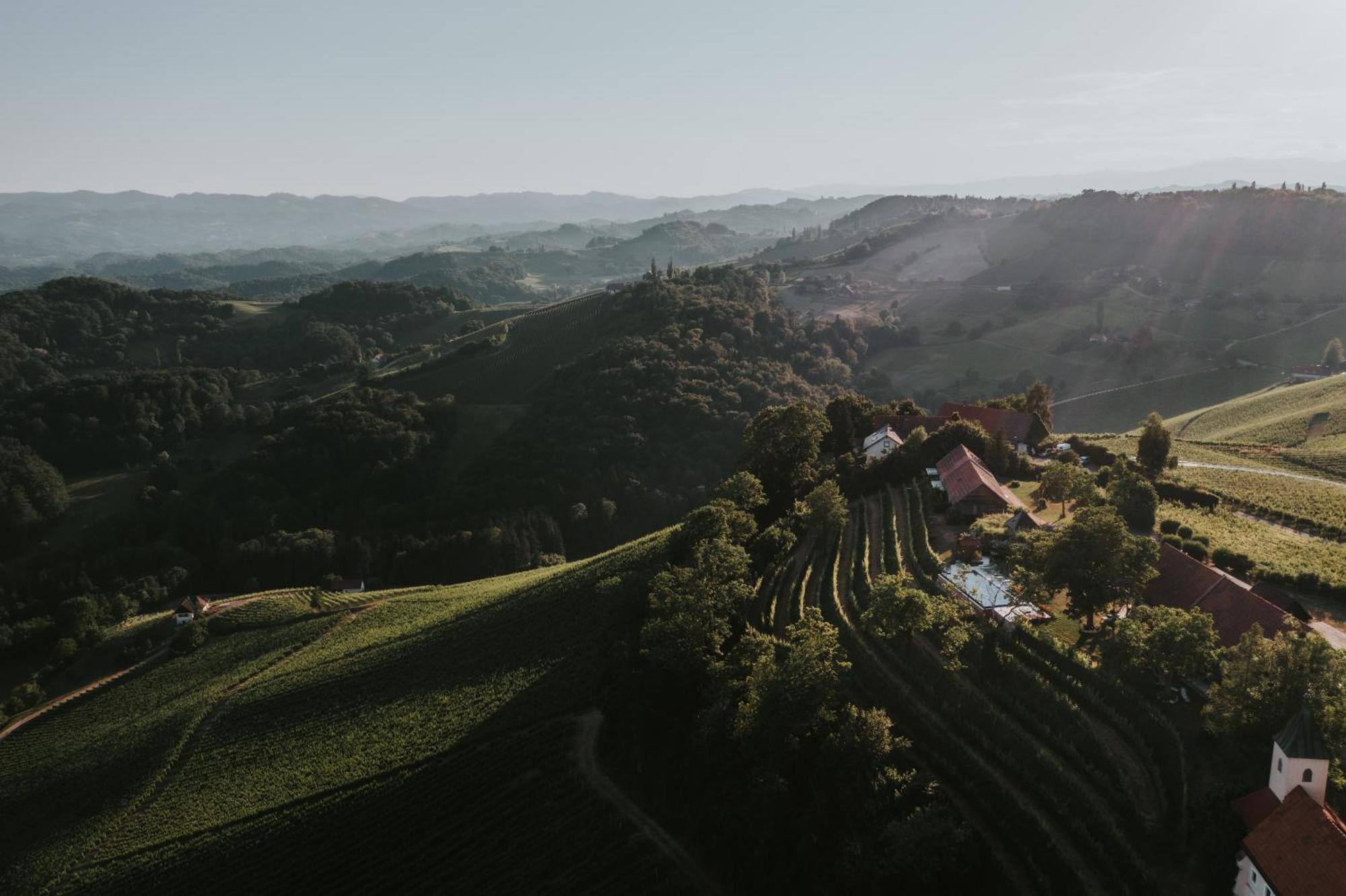 Winzarei, Weingut Tement Villa Berghausen Luaran gambar